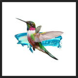 Cuadro Modern Hummingbird II