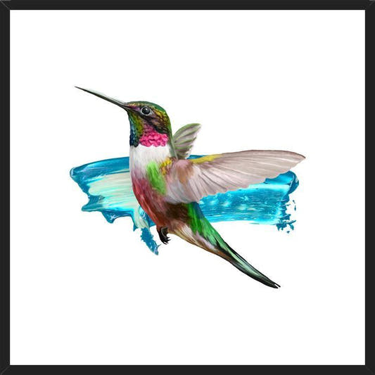 Cuadro Modern Hummingbird II