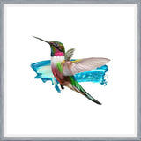 Cuadro Modern Hummingbird II