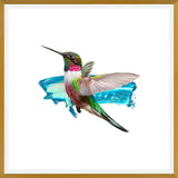 Cuadro Modern Hummingbird II