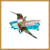 Cuadro Modern Hummingbird II