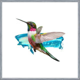 Cuadro Modern Hummingbird II
