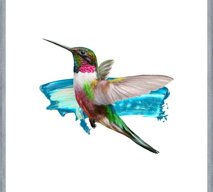 Cuadro Modern Hummingbird II