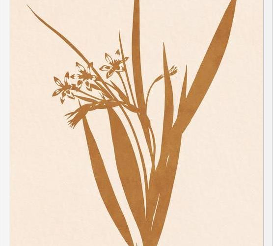 Cuadro Minimal plant - gold
