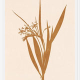 Cuadro Minimal plant - gold