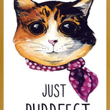Cuadro gatita calico