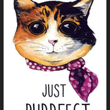 Cuadro gatita calico