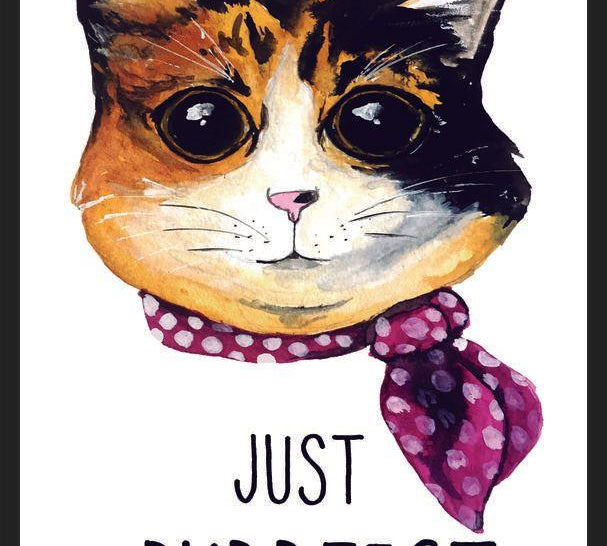 Cuadro gatita calico