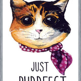 Cuadro gatita calico