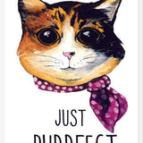 Cuadro gatita calico