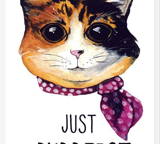 Cuadro gatita calico