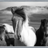 Cuadro Black And White Horses