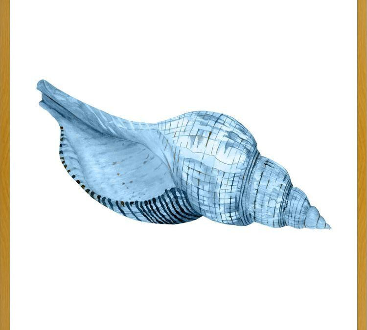 Cuadro Concha azul 1