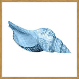 Cuadro Concha azul 1