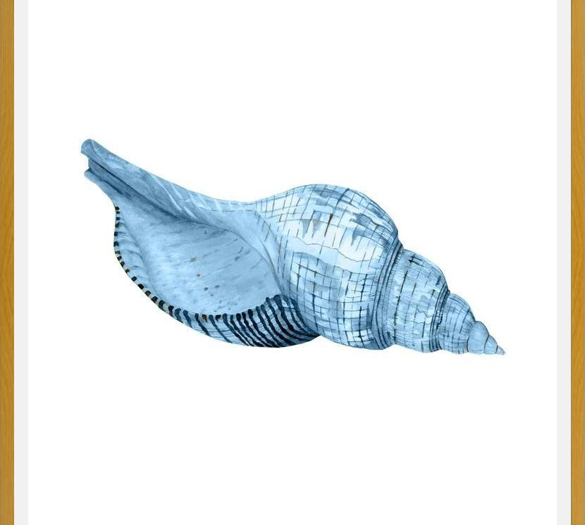 Cuadro Concha azul 1