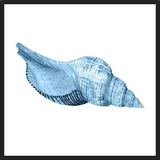 Cuadro Concha azul 1