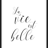 Cuadro La vie est belle