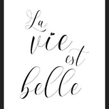 Cuadro La vie est belle