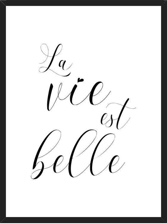 Cuadro La vie est belle