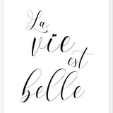Cuadro La vie est belle