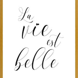 Cuadro La vie est belle