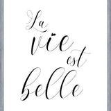 Cuadro La vie est belle