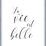 Cuadro La vie est belle