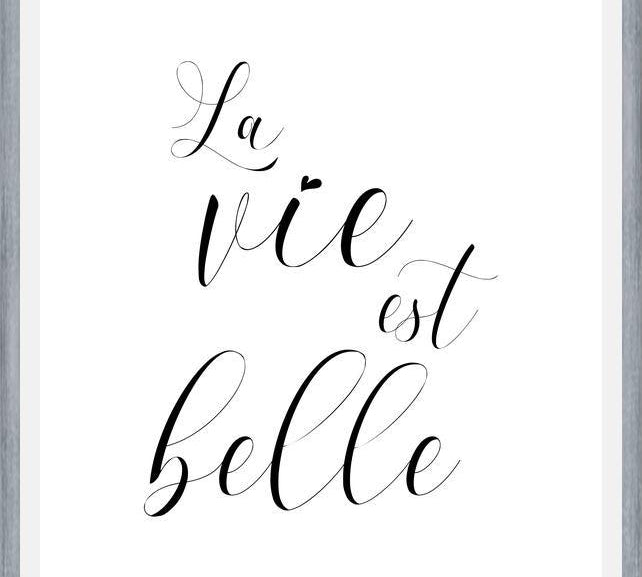 Cuadro La vie est belle