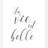Cuadro La vie est belle