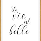 Cuadro La vie est belle