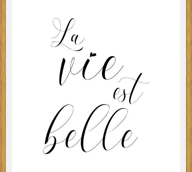 Cuadro La vie est belle