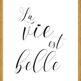 Cuadro La vie est belle