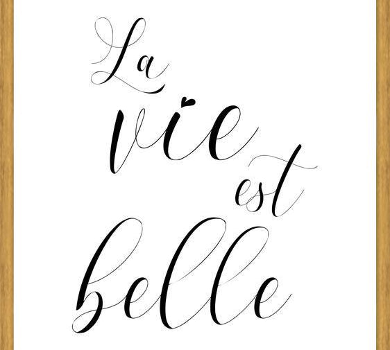 Cuadro La vie est belle