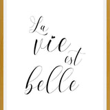 Cuadro La vie est belle