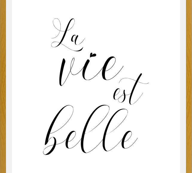 Cuadro La vie est belle