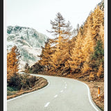 Cuadro Snow and Golden Pine