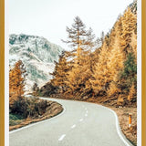 Cuadro Snow and Golden Pine