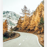 Cuadro Snow and Golden Pine