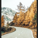 Cuadro Snow and Golden Pine
