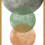 Cuadro Overlapping Circles