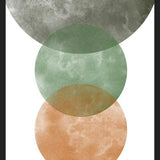 Cuadro Overlapping Circles
