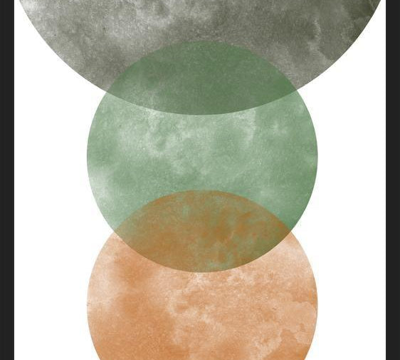 Cuadro Overlapping Circles