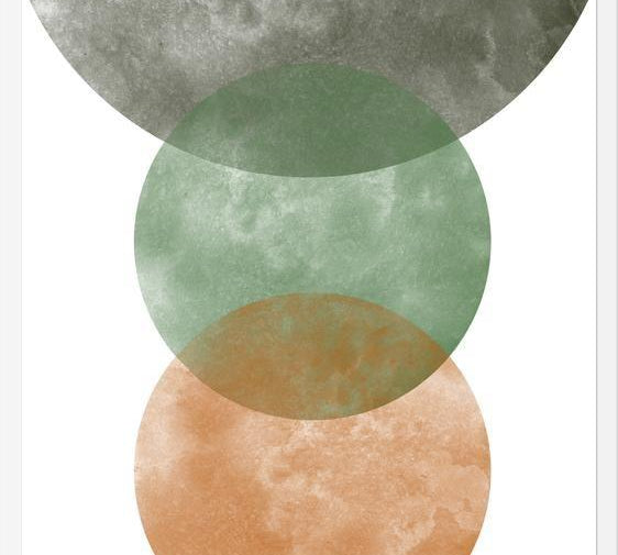Cuadro Overlapping Circles