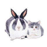 Canvas Conejo y gato