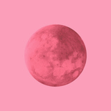 Canvas Pink Moon