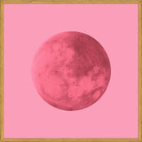 Cuadro Pink Moon