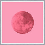 Cuadro Pink Moon