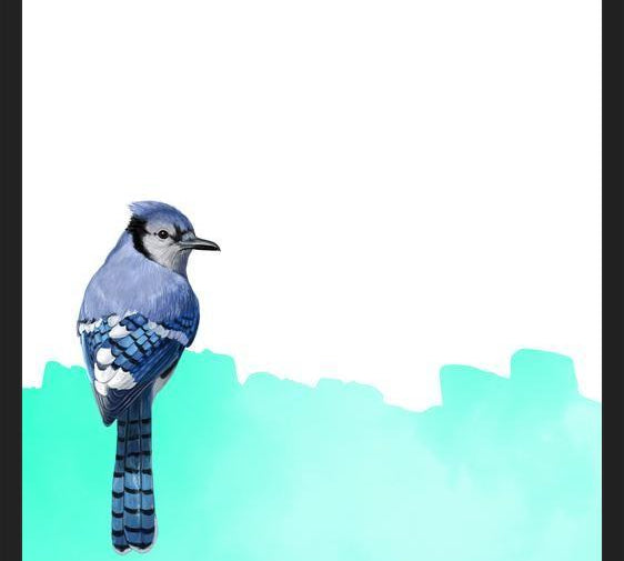 Cuadro The Bird And The Painting