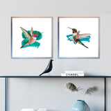 Set de Cuadros Modern Hummingbird