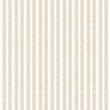 Papel Mural Raia